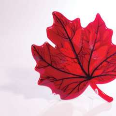 Людмила Литвин